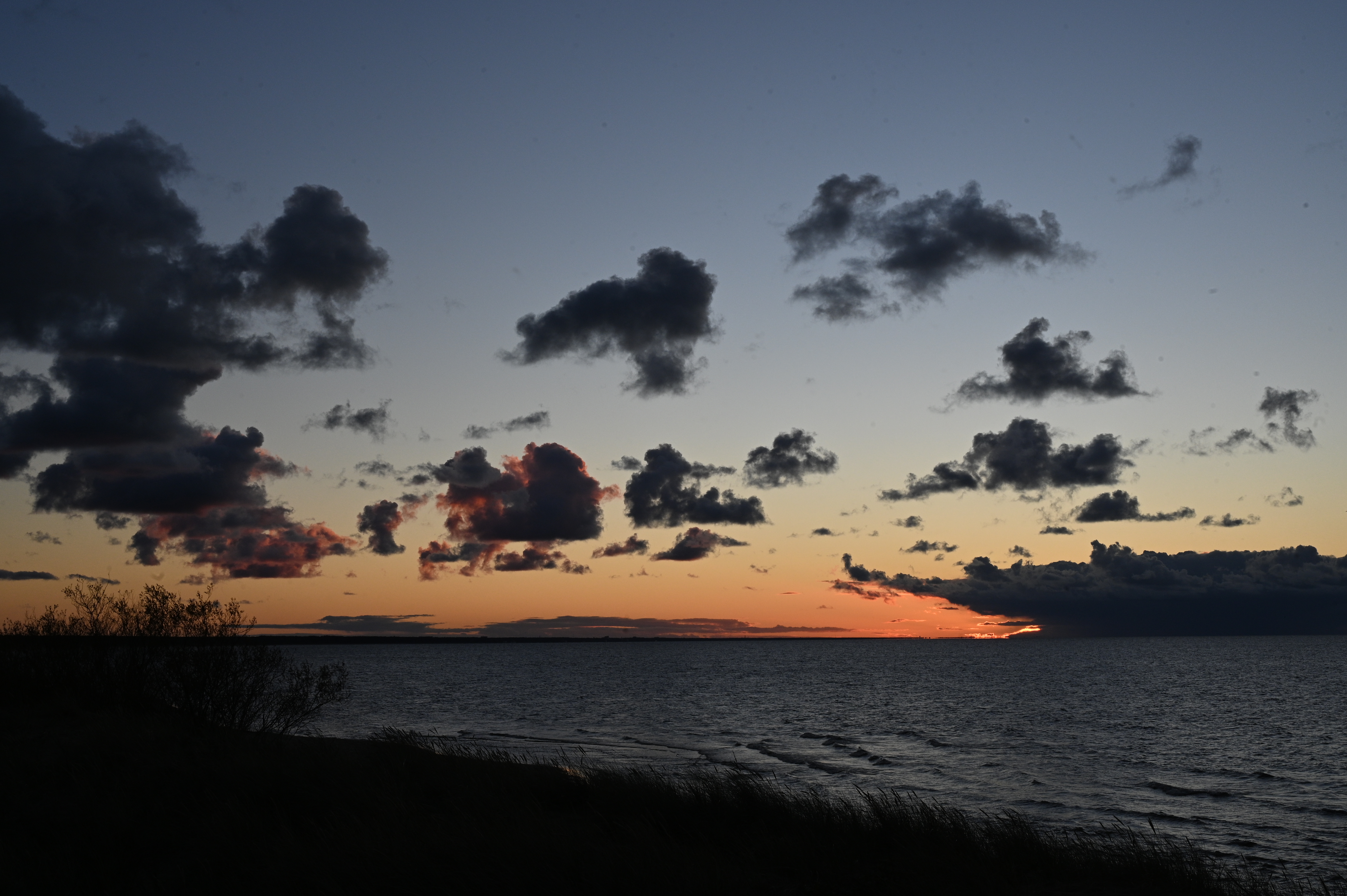 2025/10/18 - walk/DSC_0513.JPG